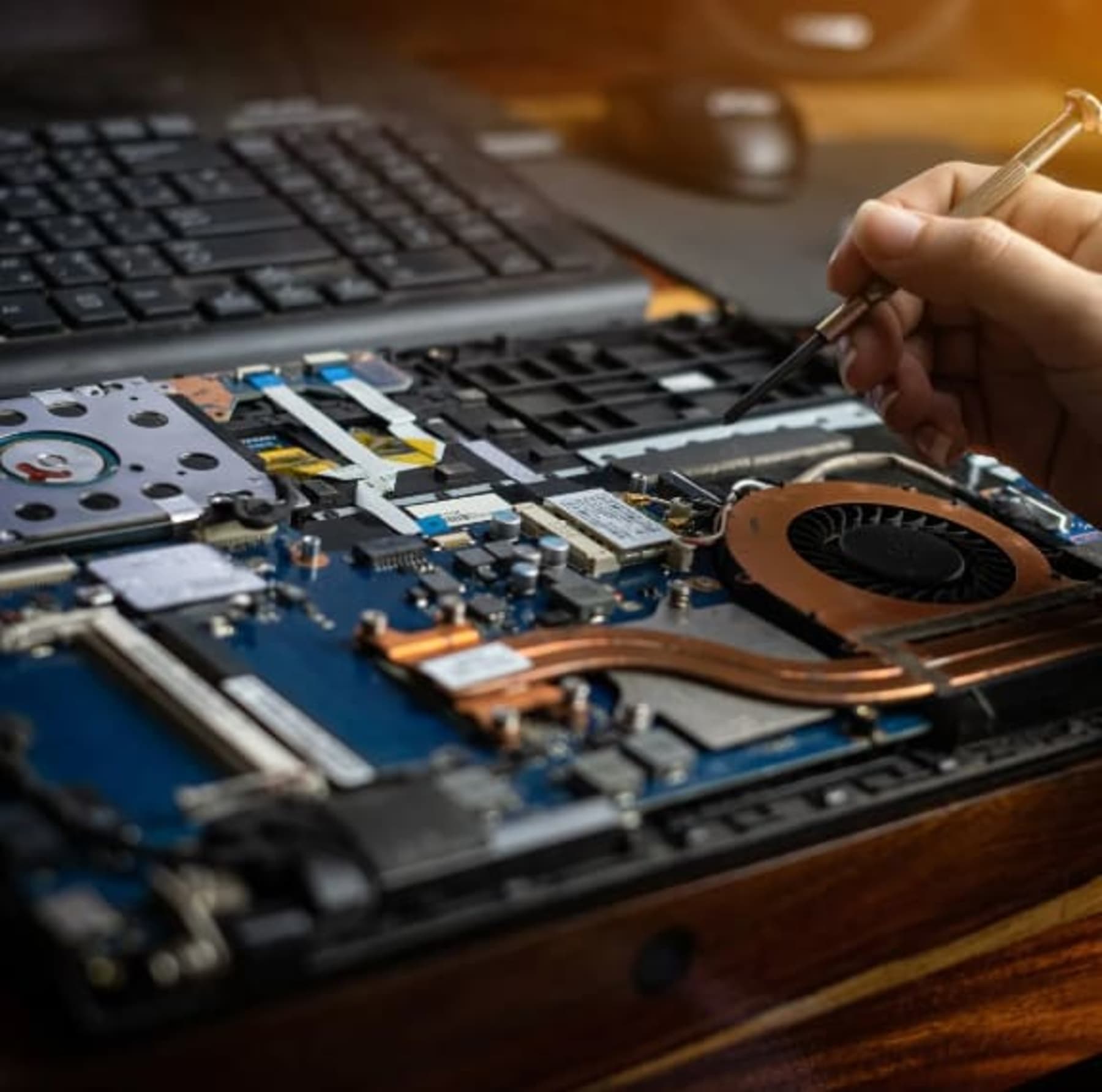 Total Healthy PC Advanced protection plan